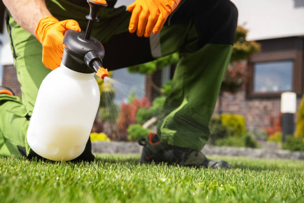 Best Pest Removal Services  in La Verkin, UT