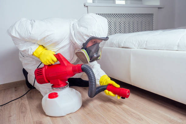 Best Rat Extermination Near Me  in La Verkin, UT
