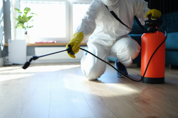 Reliable La Verkin, UT Pest Control Solutions