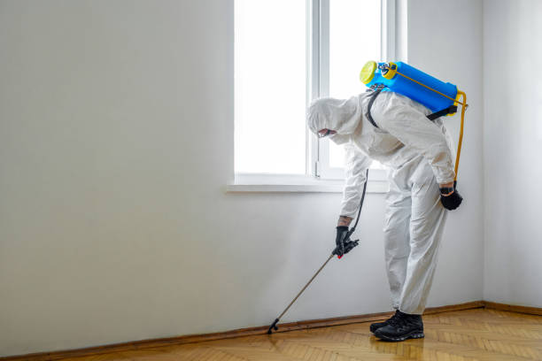 Best Insect Control  in La Verkin, UT