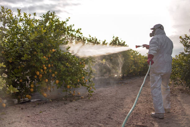 Best Cockroach Control Services  in La Verkin, UT