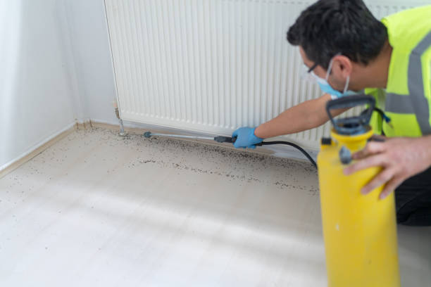 Best Pest Prevention Services  in La Verkin, UT