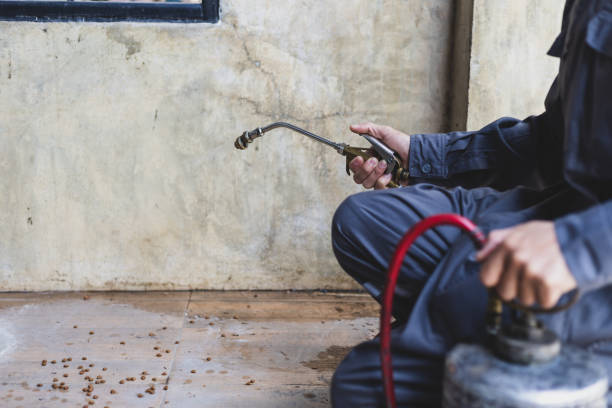 Best Local Pest Control Services  in La Verkin, UT